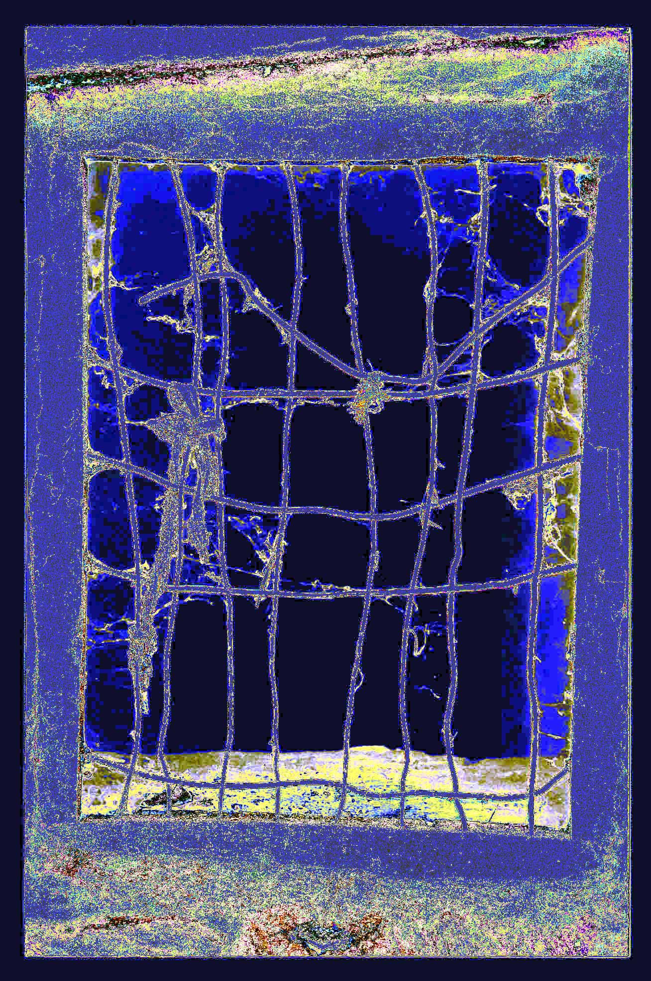 Abstraccion 7