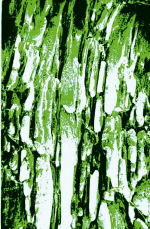 Abstracion2