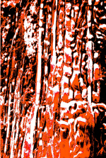 Abstraccion3