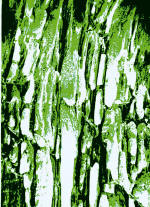 Abstraccion2