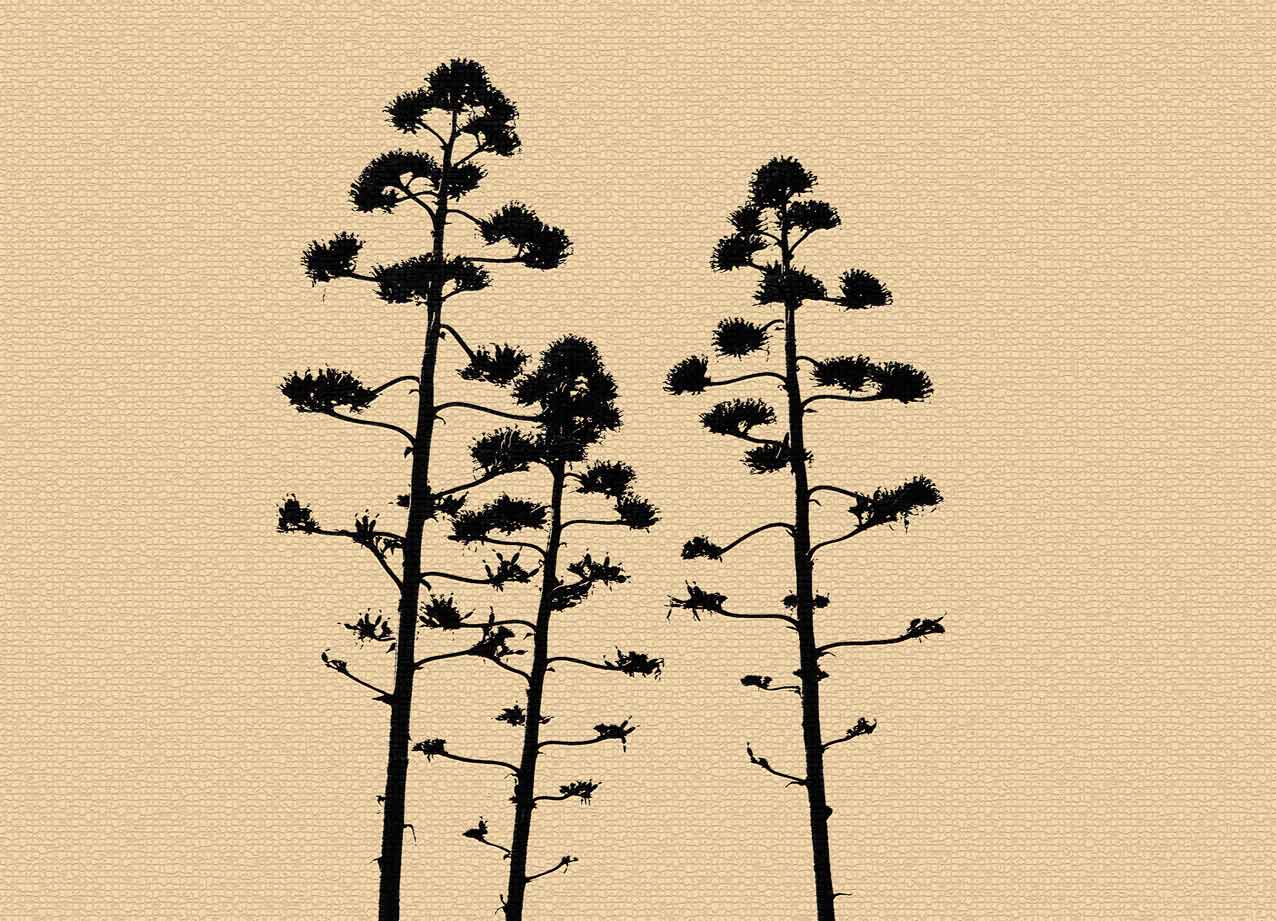 Arbol Portugal5