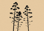 Arbol Portugal 5
