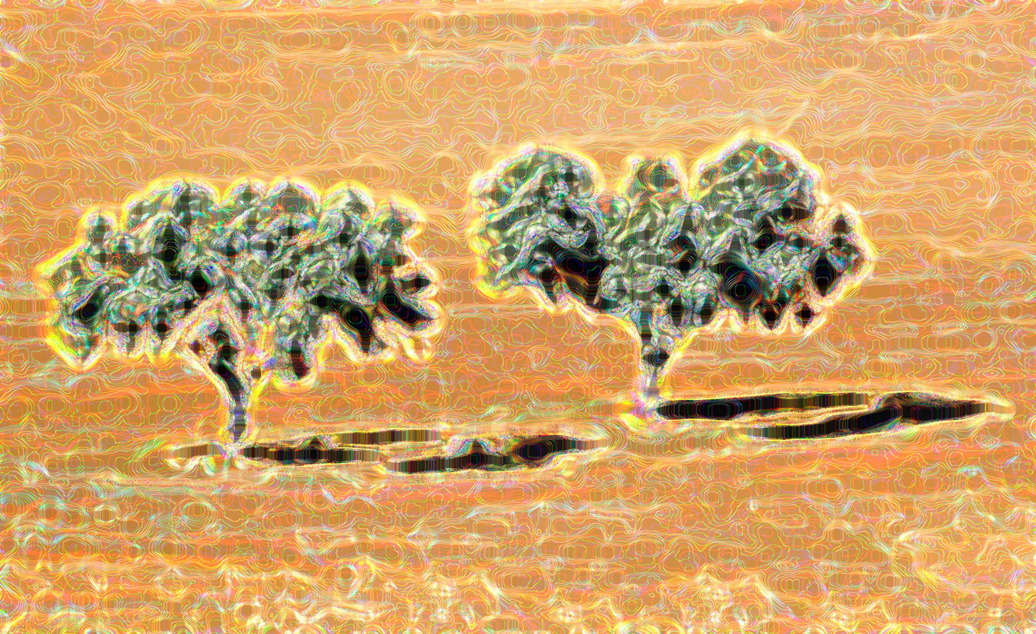 Arbol Siguenza1456