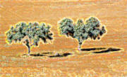 Arbol Siguenza 1456