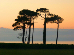Barayo-Navia-Atardecer