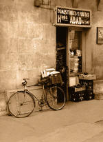 Bicicleta Sepia