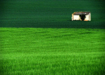 Camino Paisaje4