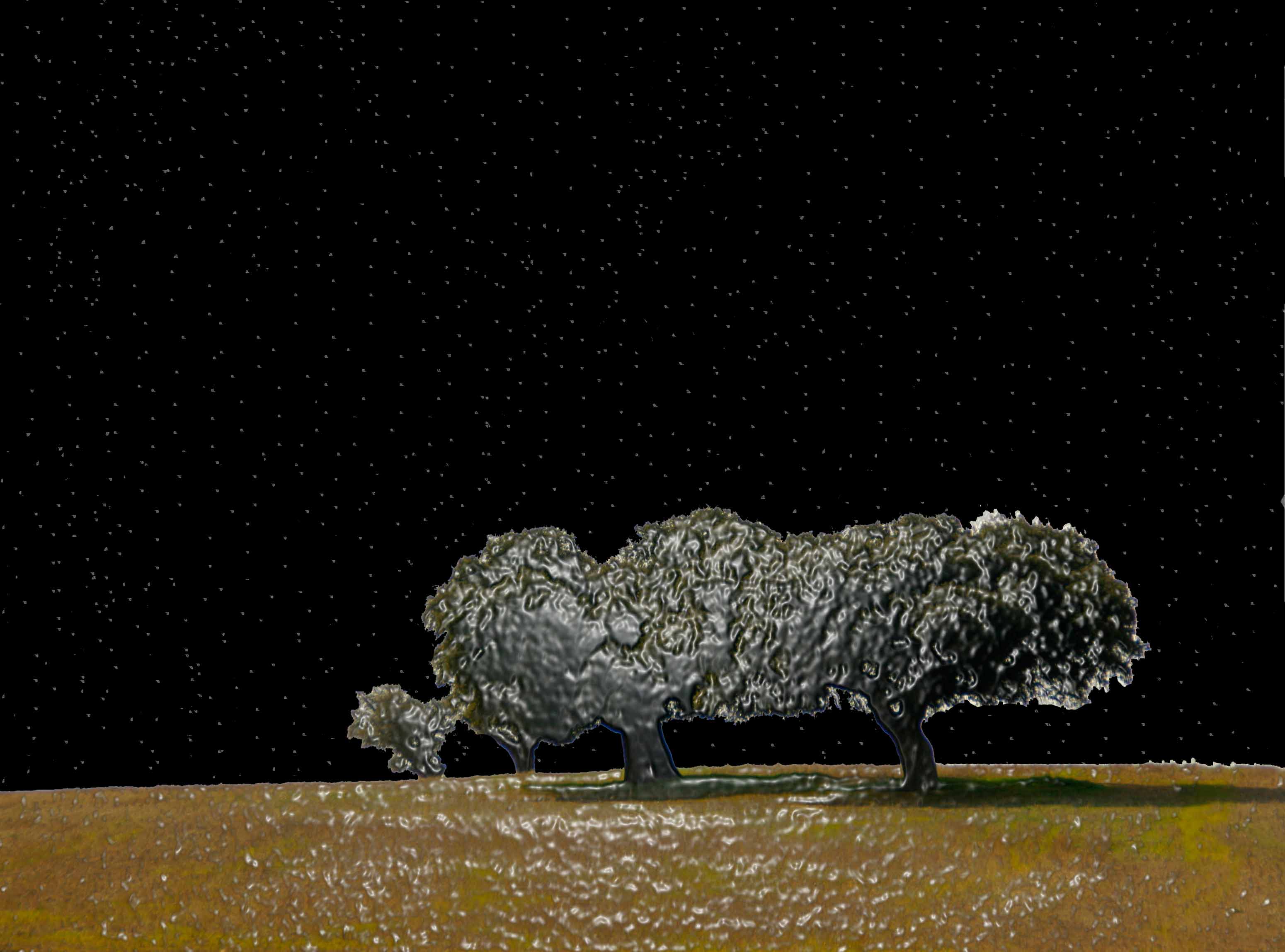 Camino Arbol 1262