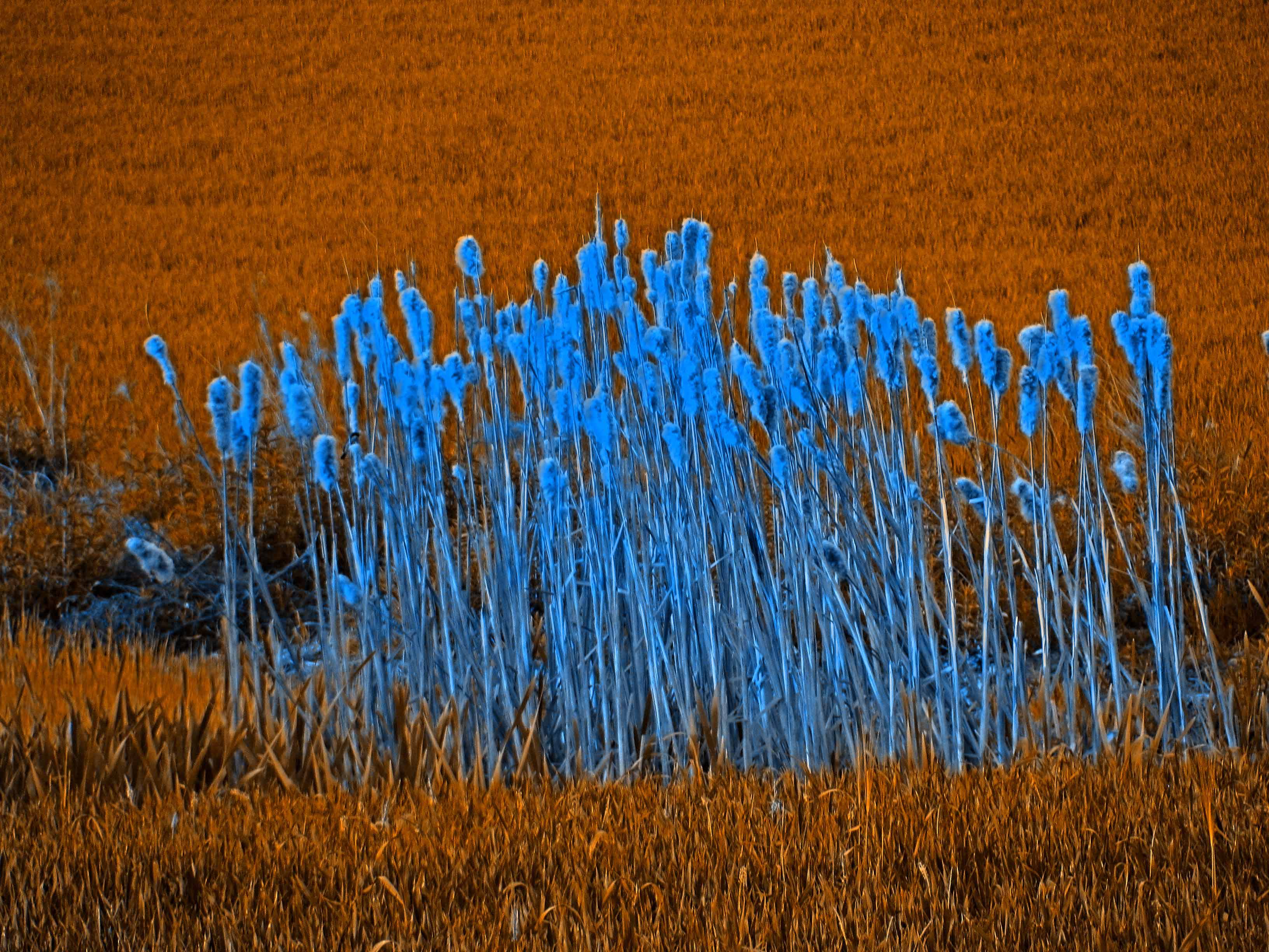 Camino Paisaje 0117