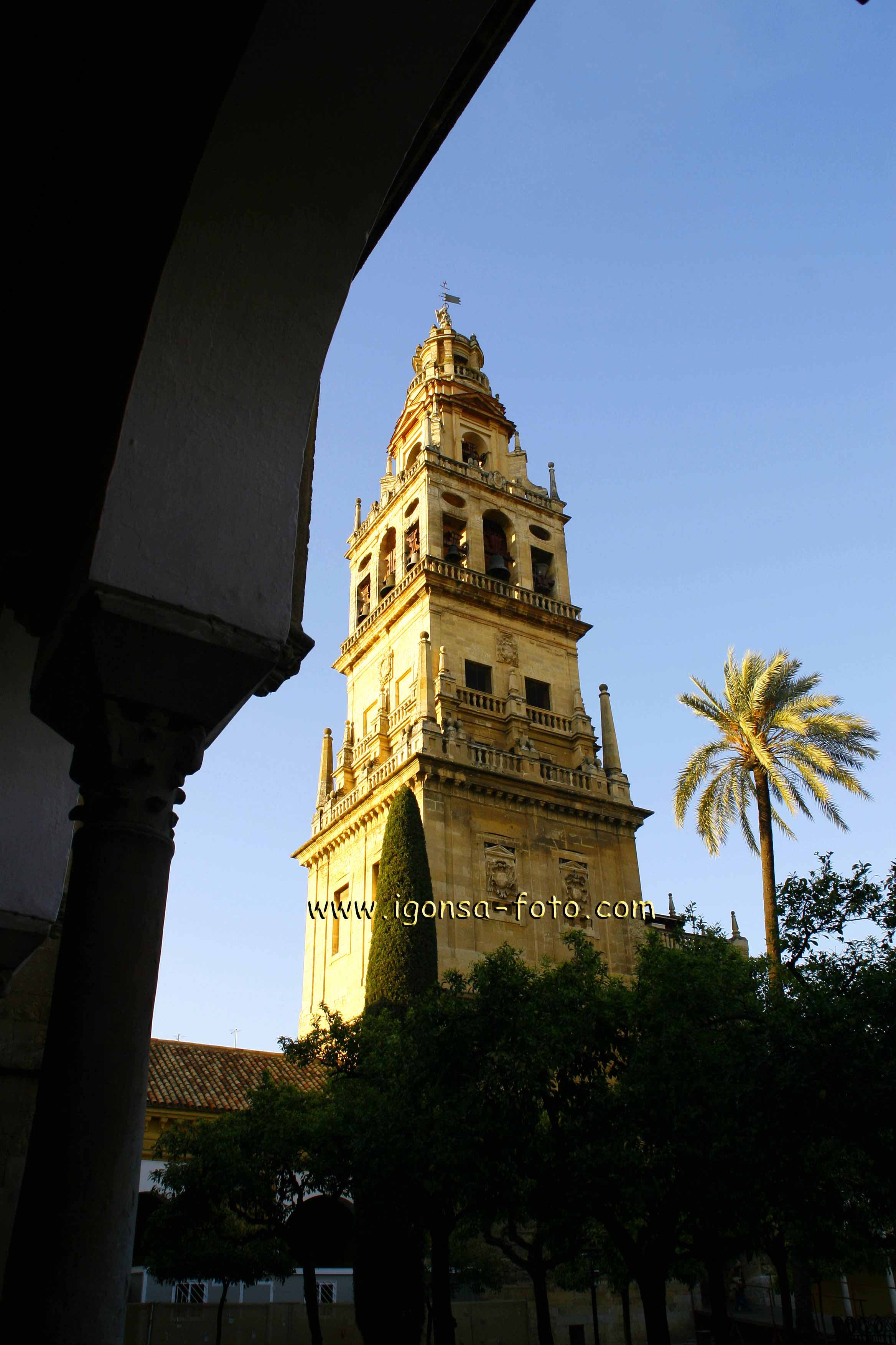 Campanario/Bell Tower1703081939 Cordoba