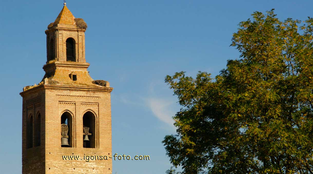 Campanario/Bell Tower2610081355 Arevalo(Avila)