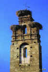 Campanario-Bell Tower002,arquitectura rural y popular