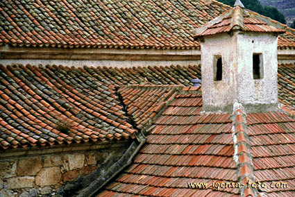 Campanario/Bell Tower 4021