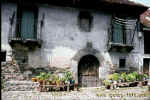 Casa-House 4005,arquitectura rural y popular