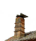 Chimenea-Chimney 5475,arquitectura rural y popular 