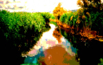 Daimiel2
