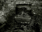 Fuente Camino
