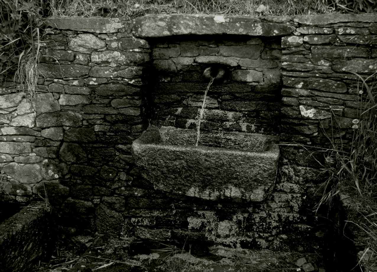 Fuente Camino