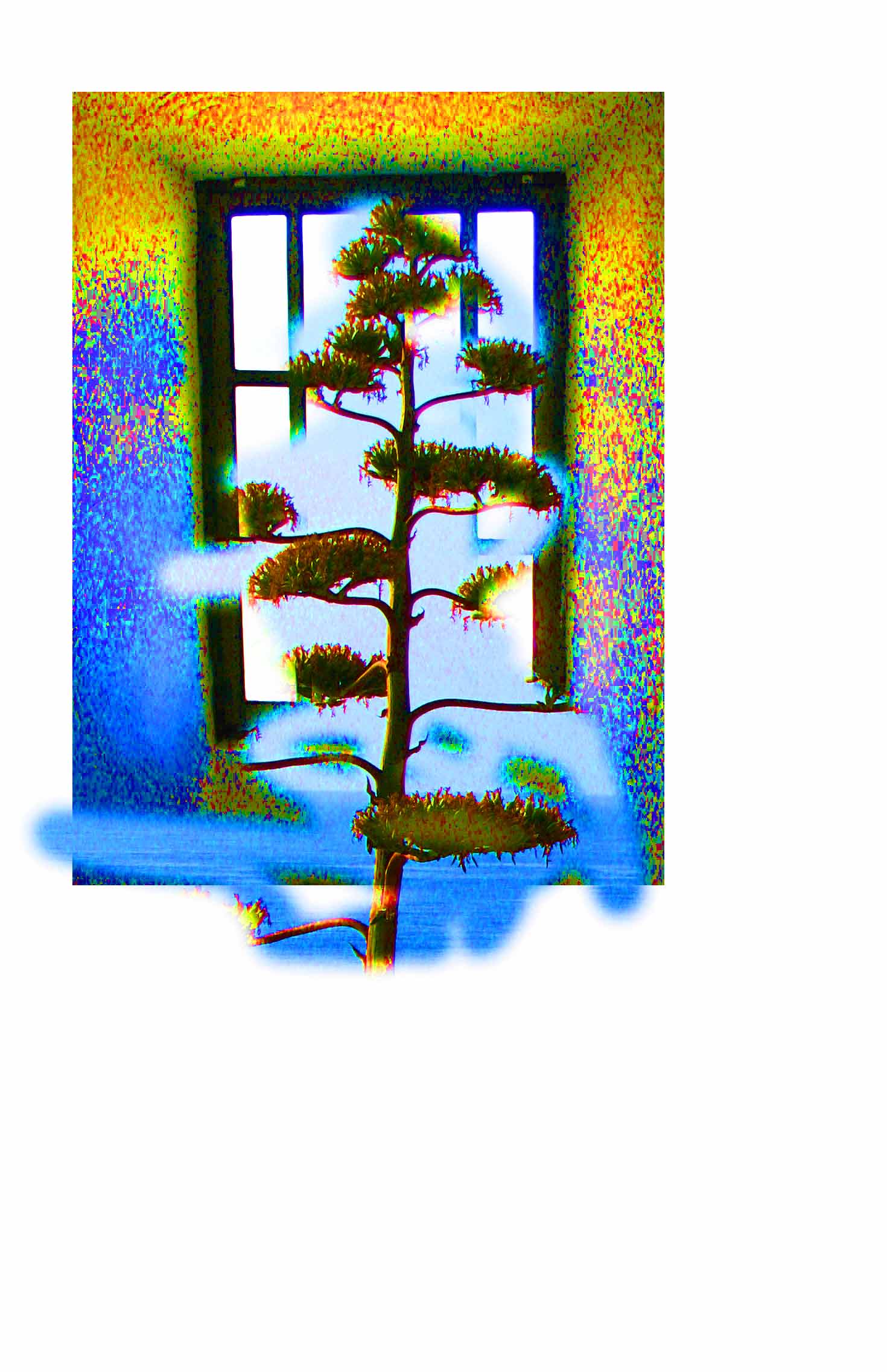 Luz3