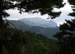 Maliciosa