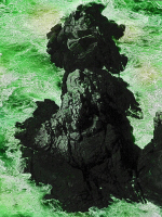 Mar Verde
