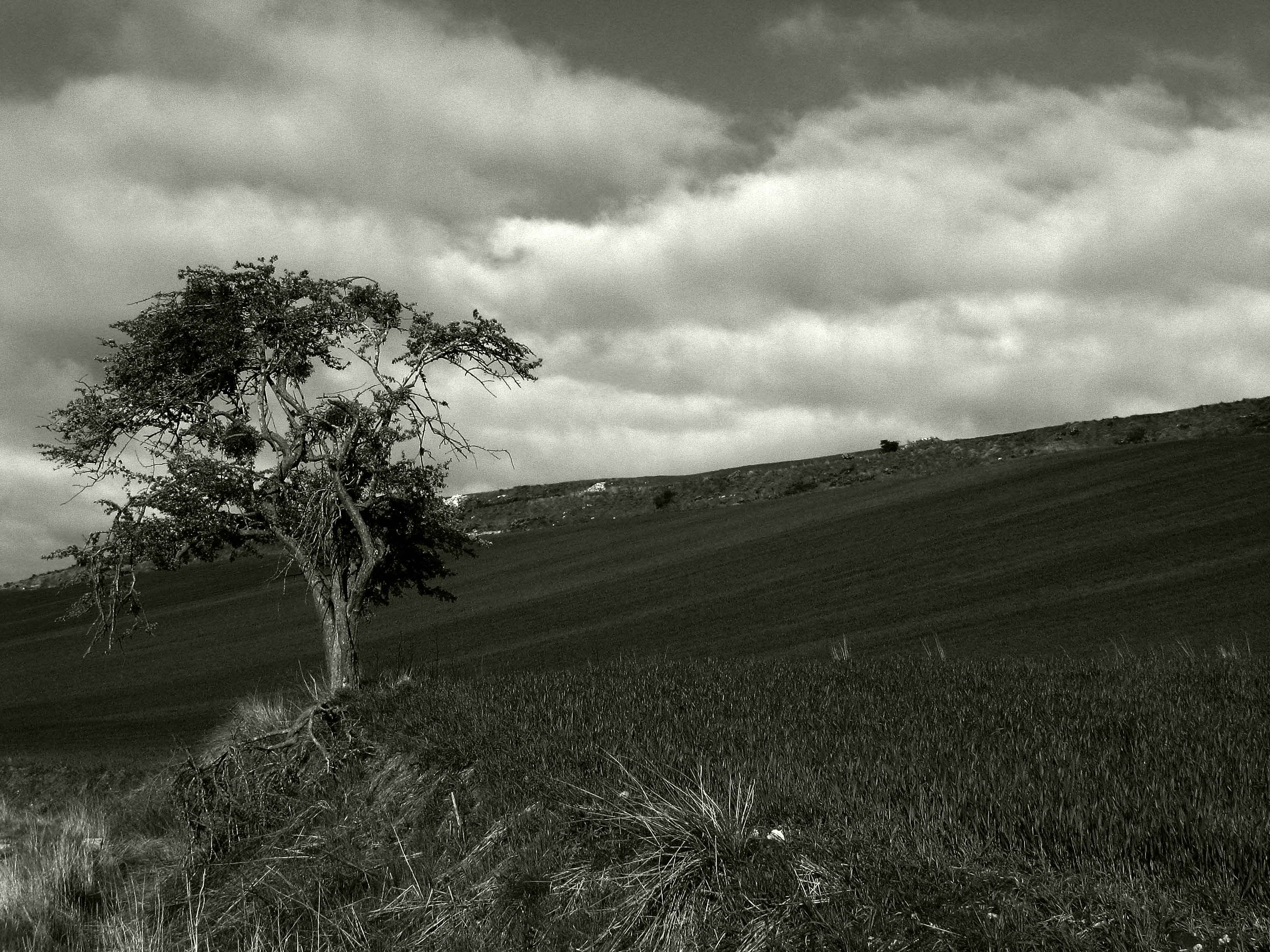 Paisaje Camino1
