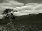 Paisaje Camino1