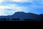 Paisaje2