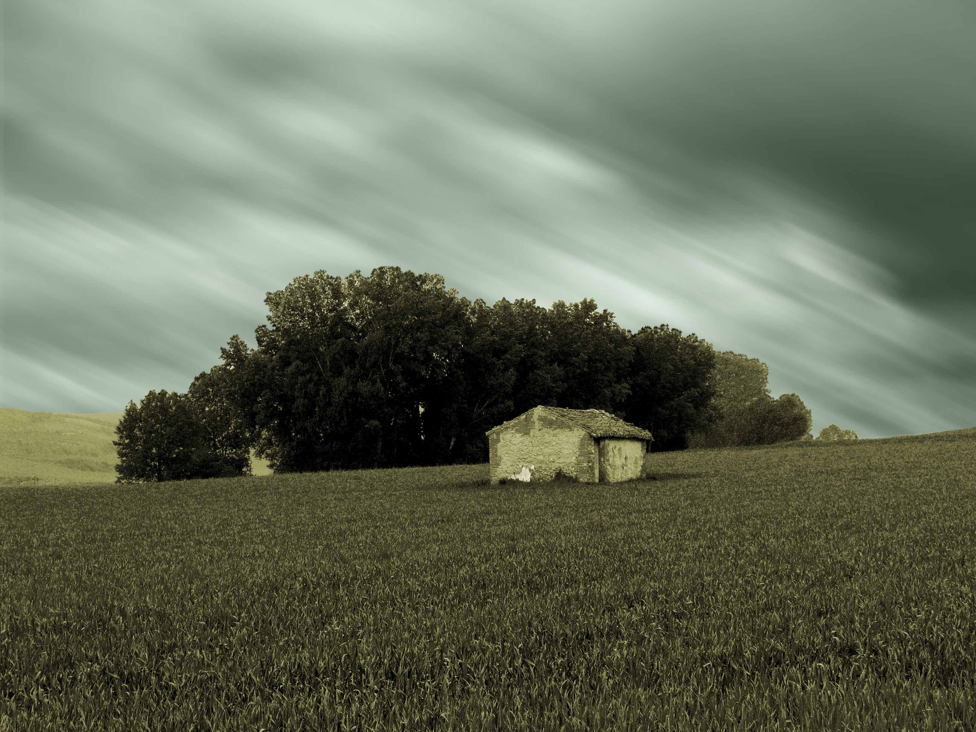 Paisaje 390