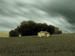 Paisaje 390