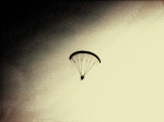 Parapente9