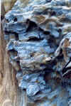 Piedra1