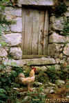 Puerta-Door 181,arquitectura rural y popular