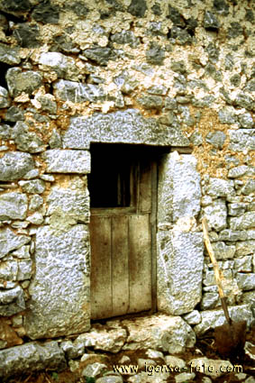 Puerta/Door 191