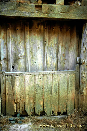 Puerta/Door 215