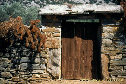 Puerta/Door 4062