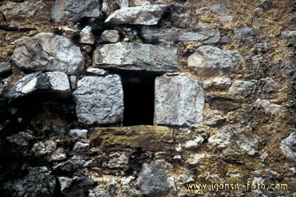 Ventana/Window 117