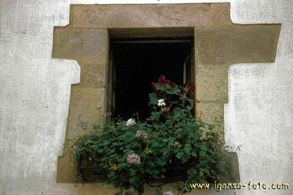 Ventana/Window 148