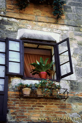 Ventana/Window 162