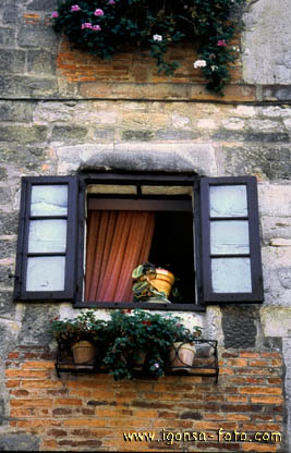 Ventana/Window 167