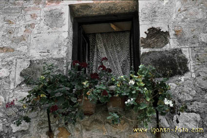 Ventana/Window 170