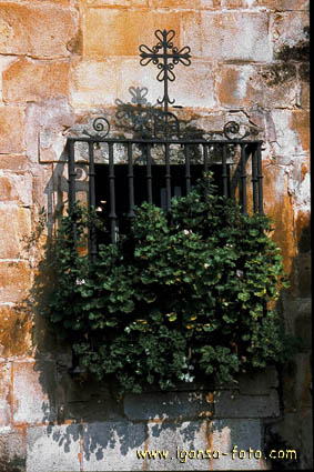 Ventana/Window 173