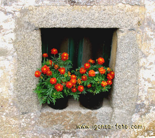 Ventana/Window3757 Castropol(Asturias)