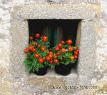 Ventana-Window 3757,arquitectura rural  y popular 