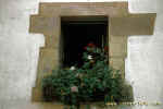 Ventana-Window 148,arquitectura rural y popular