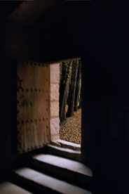 Puerta bosque