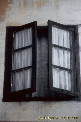 Ventana/Window 135
