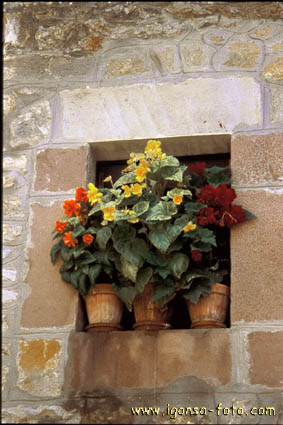 Ventana/Window 152