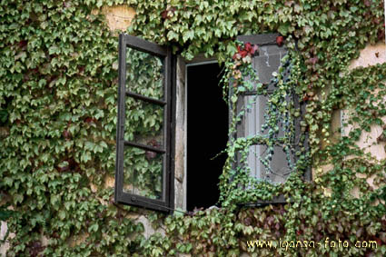 Ventana/Window 156