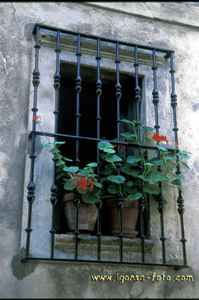 Ventana/Window 172